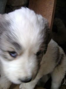 Photo0444