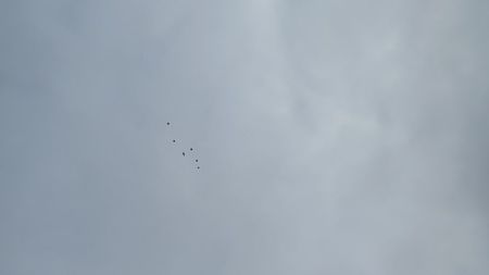 1-IMG_0015