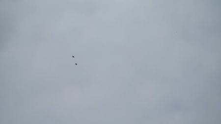 1-IMG_0023