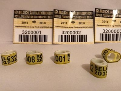 BE7BD244-9EBC-495B-BE7A-1405AB337873