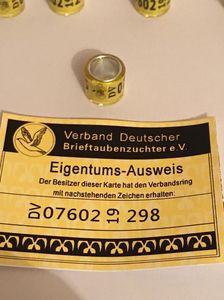 B0C92DF9-299B-47FD-85BA-C021C1426F22
