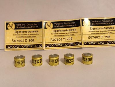 50C5FC9E-E5AC-4936-908D-F488AD56A465