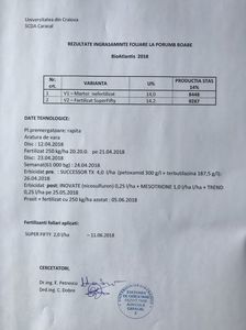 Floarea soarelui + 279 kg