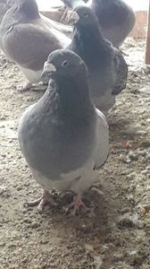 20181129_133754(0)