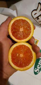 Fructe portocal moro în pîrg