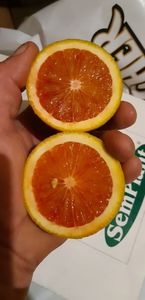 Fructe portocal moro în pîrg