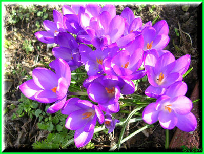 2010.03