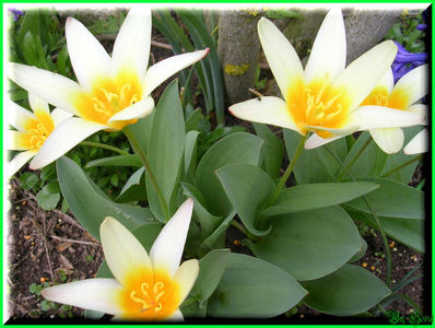 2010.03