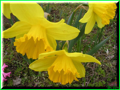 2010.03