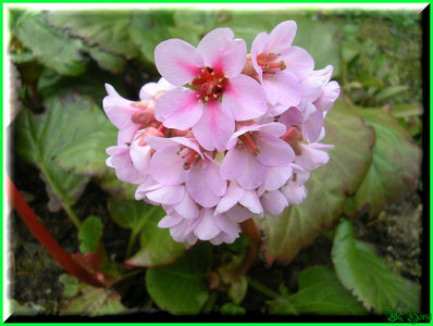 2010.03
