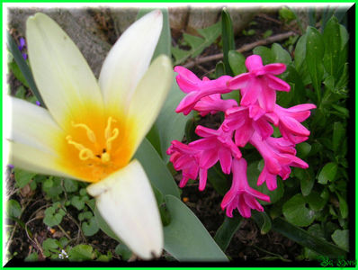 2010.03