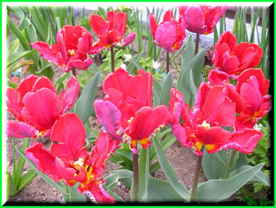 2010.04.20