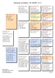 Pedigree RO 664987 - 13 F Brockamp - Carteus; Pedigree RO 664987 - 13 F Brockamp - Carteus
