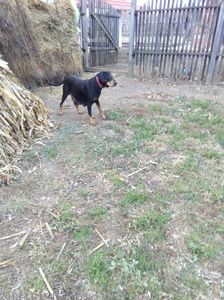 IMG-20181209-WA0011