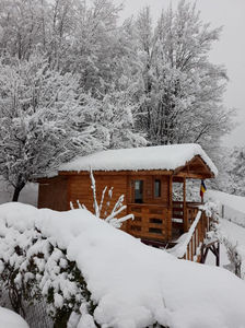 18.12.2018; ... a venit Doamna Iarna !!!
