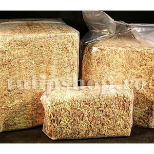 Muschi Sphagnum pentru orhidee 1,4l; Pret: 8 lei.
Muschiul uscat Sphagnum este cel mai bun substrat pentru orhidee.
Este un produs natural, fara procesare sau adaugare de produse chimice, obtinut prin recoltarea directa a muschiului.
