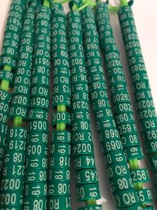 FF612DC4-CB60-442E-9AB6-5F41495E8163