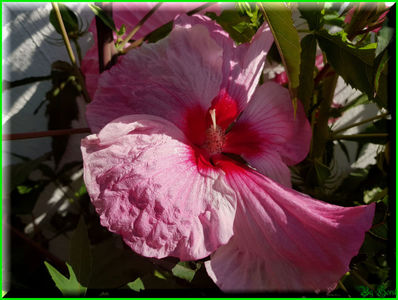 Kiss Me; 'Turn of The Century' x 'Summer Storm'
