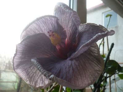 P1400583