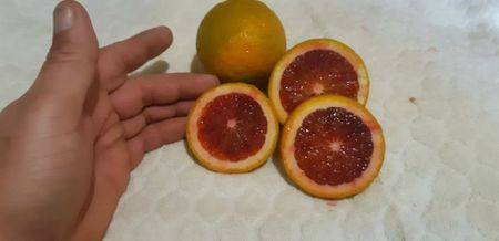 Citrus sinensis moro; Maturarea completă va fi cam peste două luni,dacă mai apucă pentru că au un gust superb.
