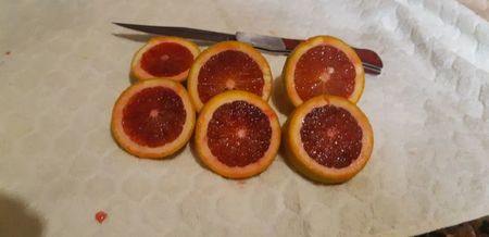 Citrus sinensis moro