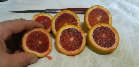 Citrus sinensis moro