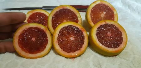Citrus sinensis moro