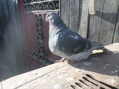 SAM_5377