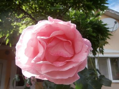 f 5310138 (9)