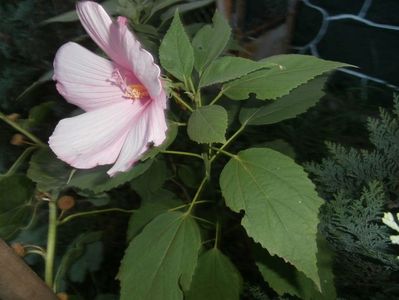 P8160055