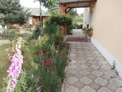 flori in iunie  1 (5)