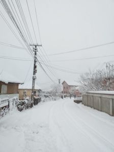 ; Strada Mandica, sat Gurisoara,decembrie 2018 prima ninsoare
