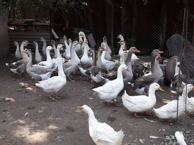 received_1698431493534458