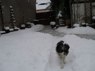 11 ian.2019 brr ...ce vara friguroasa...
