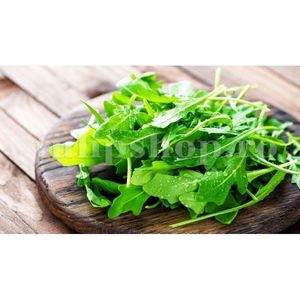 Seminte Rucola 2000buc.; Pret: 4 lei/plic Pachetul contine 2.000 de seminte sigilate intr-un pachet cu atmosfera protectoare, ferite de umiditate si lumina solara.
