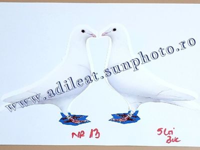 TextArt_190119170215