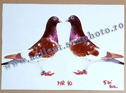 TextArt_190119170252