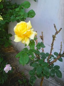 Photo0603