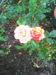 Photo0605