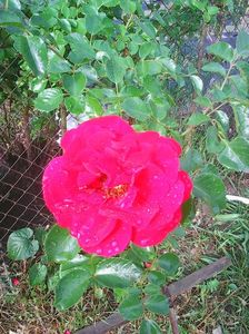 Photo0606