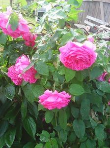 Photo0608
