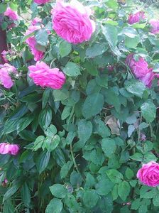 Photo0609