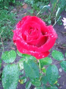 Photo0625
