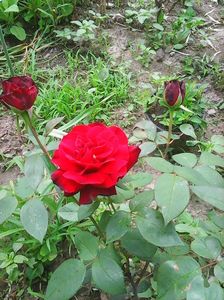 Photo0634