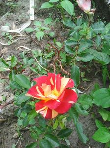 Photo0636