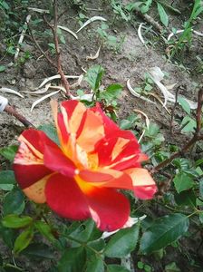 Photo0637