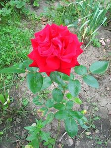 Photo0638
