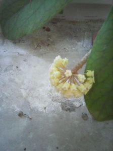 Photo0416