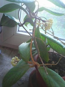 Photo0418