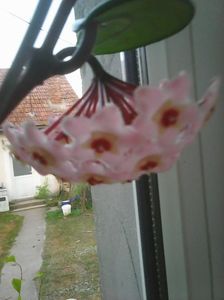 Photo0451